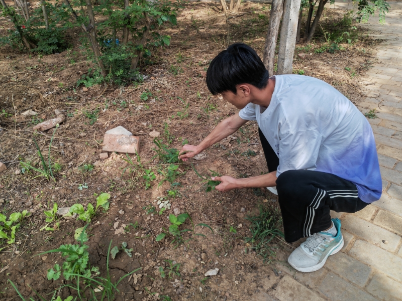 �������ന�����`�F����������`