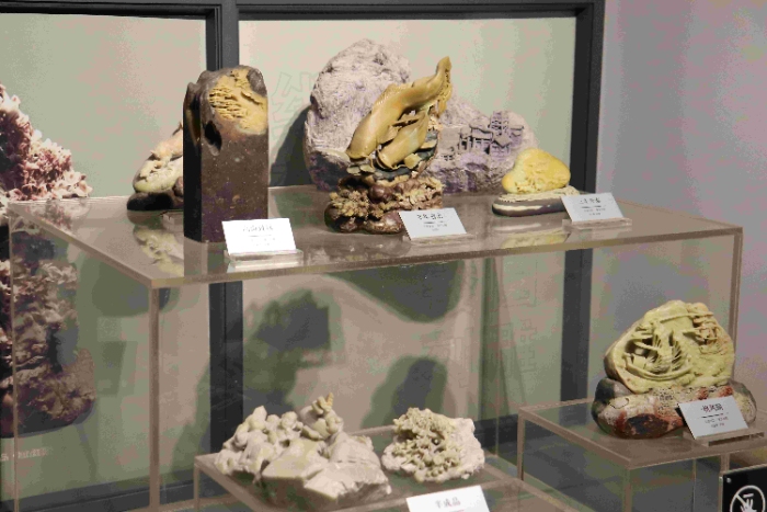 ����С�̽���z������ؔ(c��i)�W(xu��)�ӳ���ʽ��a��ˮ�Ļ�����