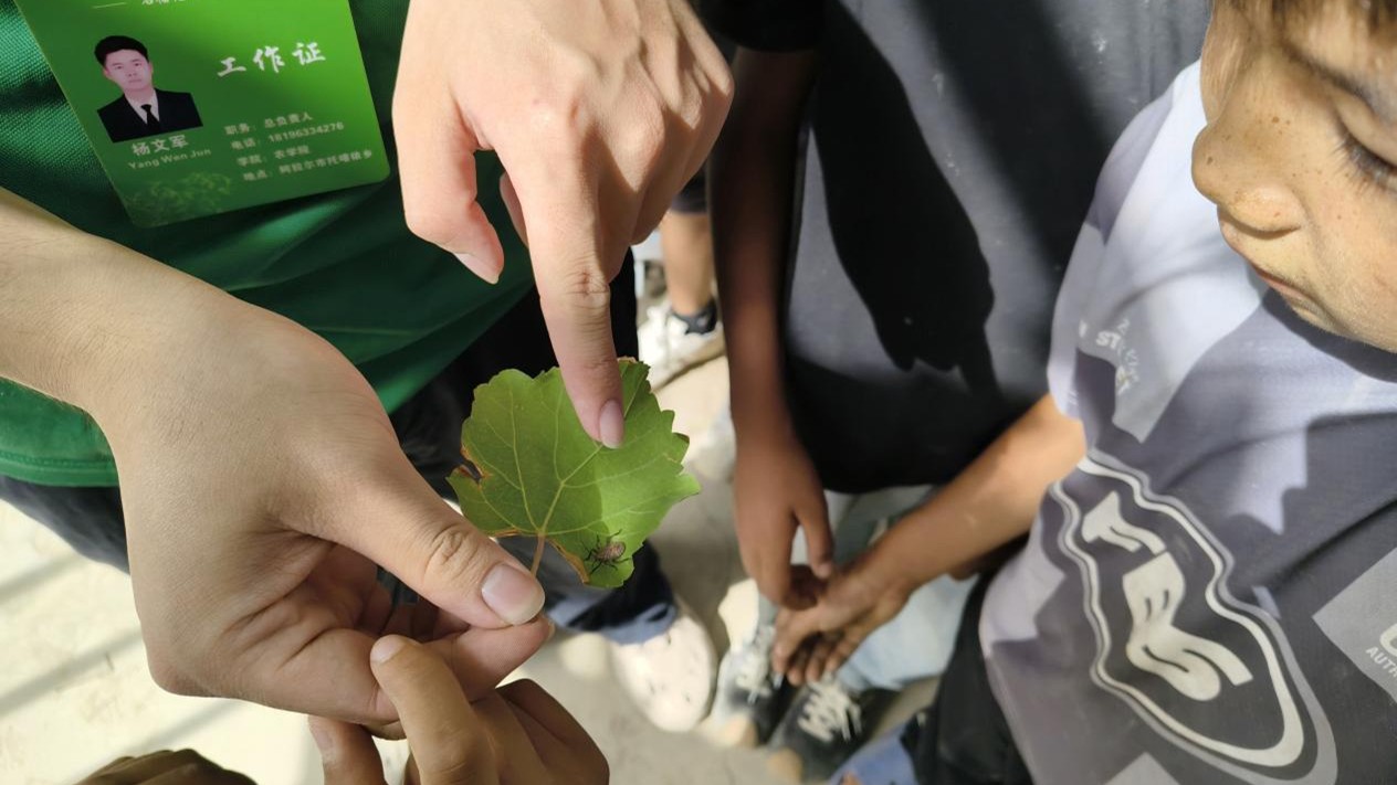 ��̽�r����������ľ��Wʯ���_���`�F�