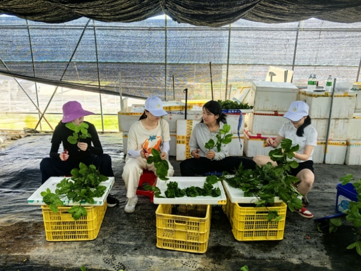 �V���W�������l���۽����������g���x�ܰ����ȫ�a�I�