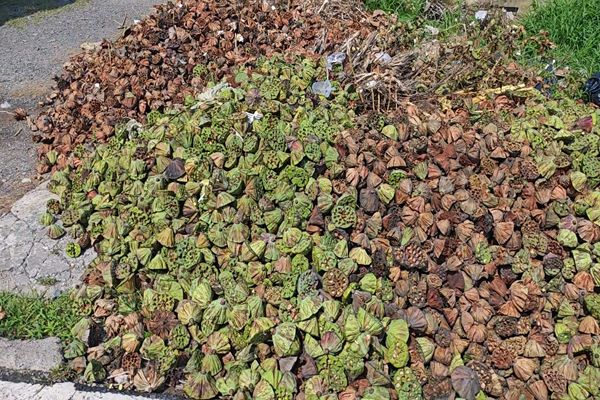 �`�����B(t��i)�����������l(xi��ng)�����d