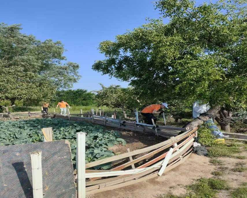 ��̽����֮���������d֮�ꡱ������������`�{��