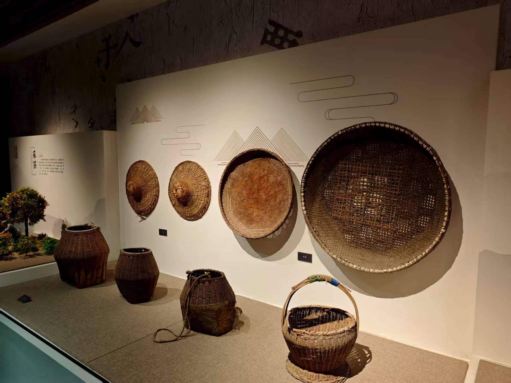 ���݌WԺ�W�ӽ�կ�������l����ʢ���L���l ̽���Ļ�����