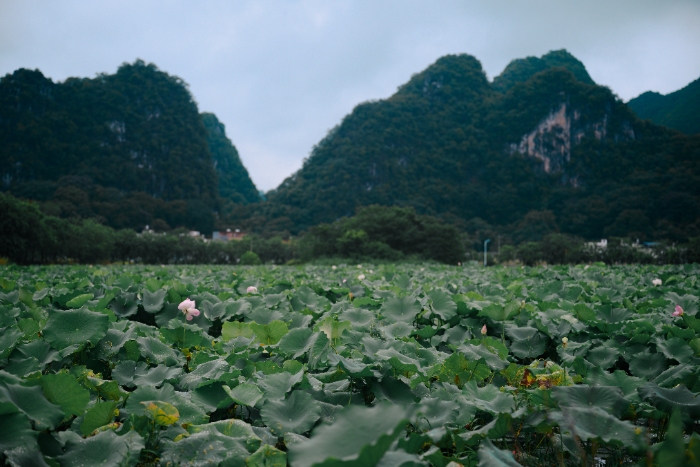 �V�����A�W(xu��)��̤��������ʮ���� ̽����(sh��)��������(ch��ng)��