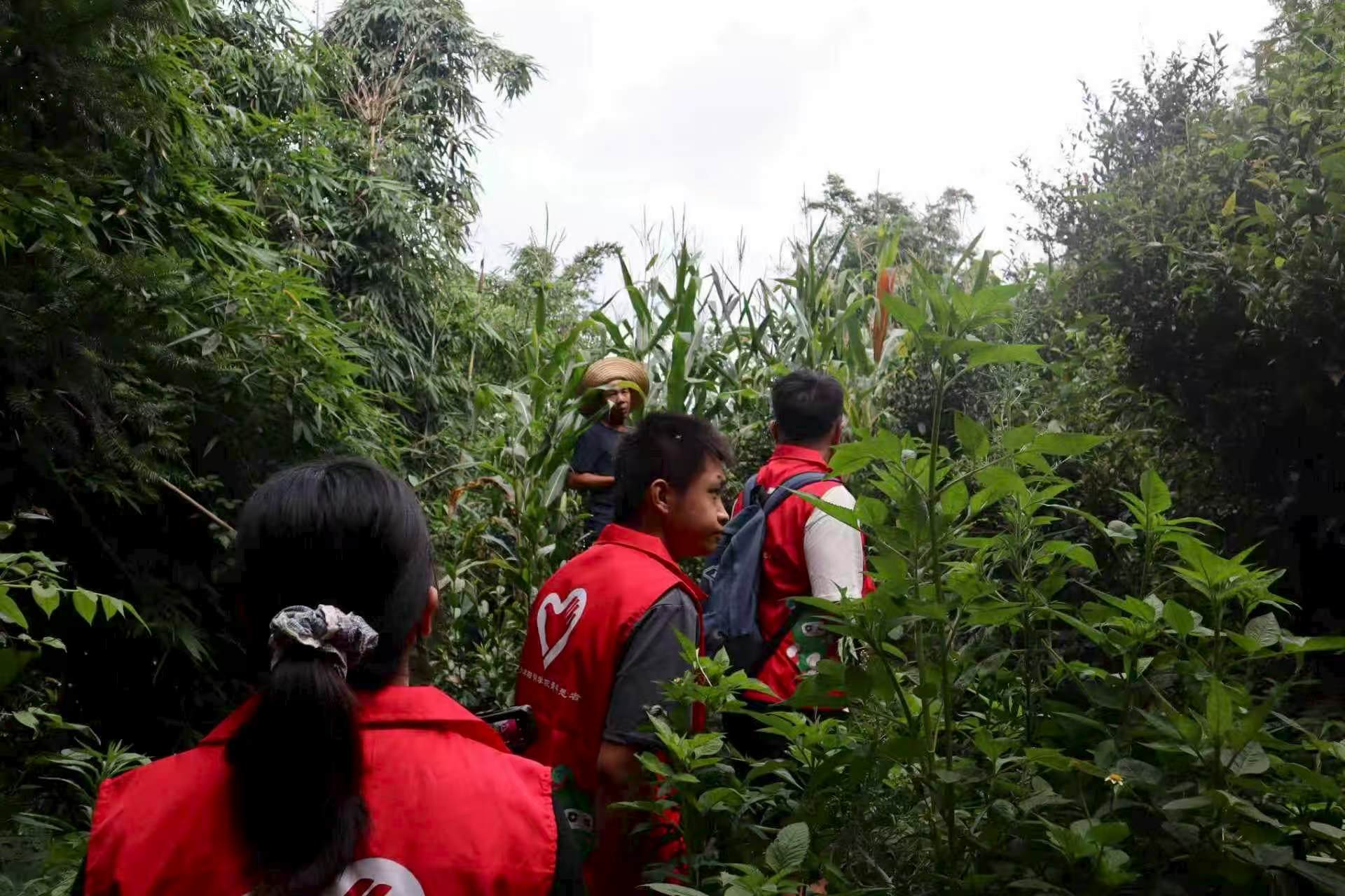 ��퍿M�@ɽ���a(ch��n)�I(y��)ԣ�f(w��n)��