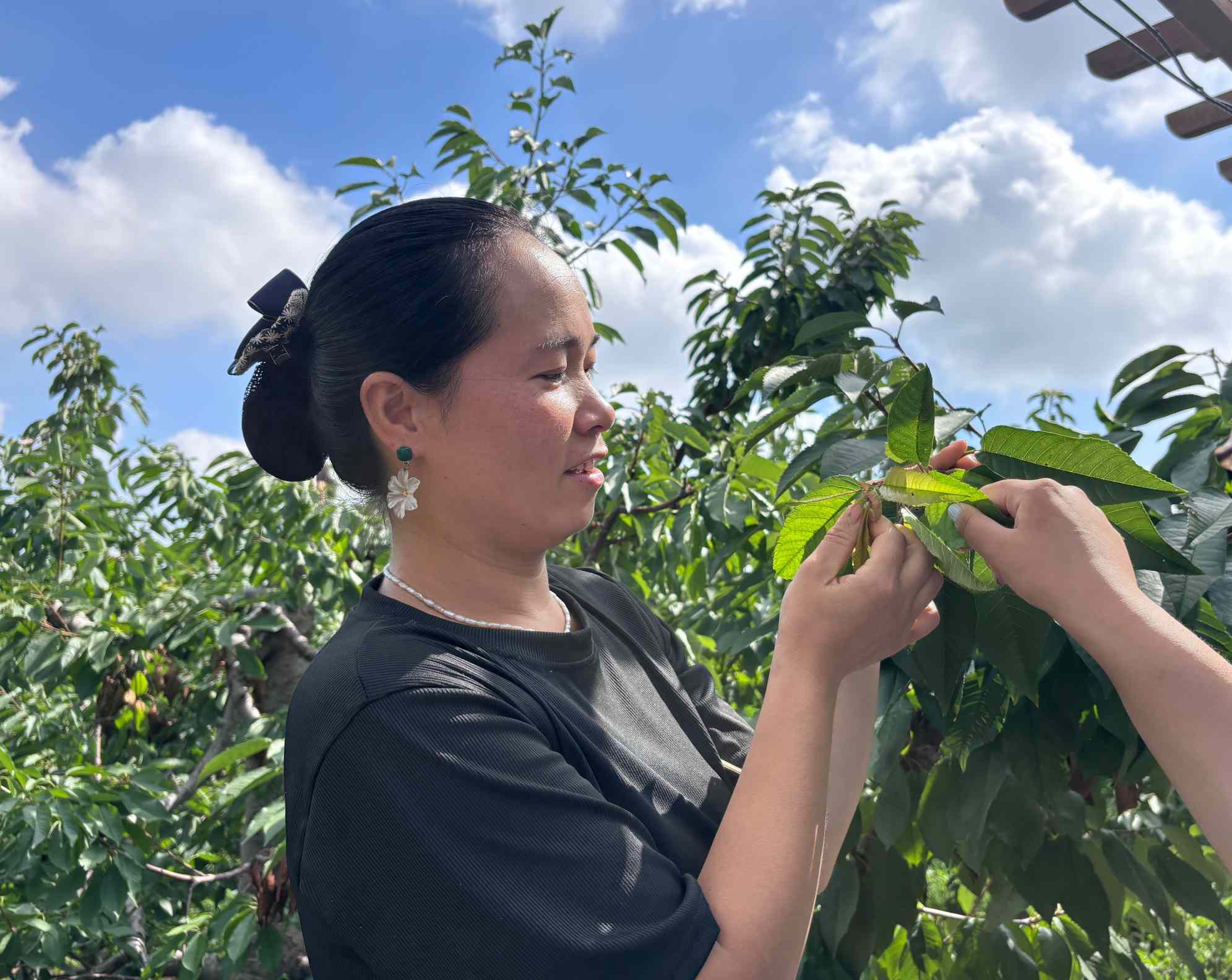 �����r�ֿƼ���W�@ˇ�WԺ����ꖿh���`�F���M����С�