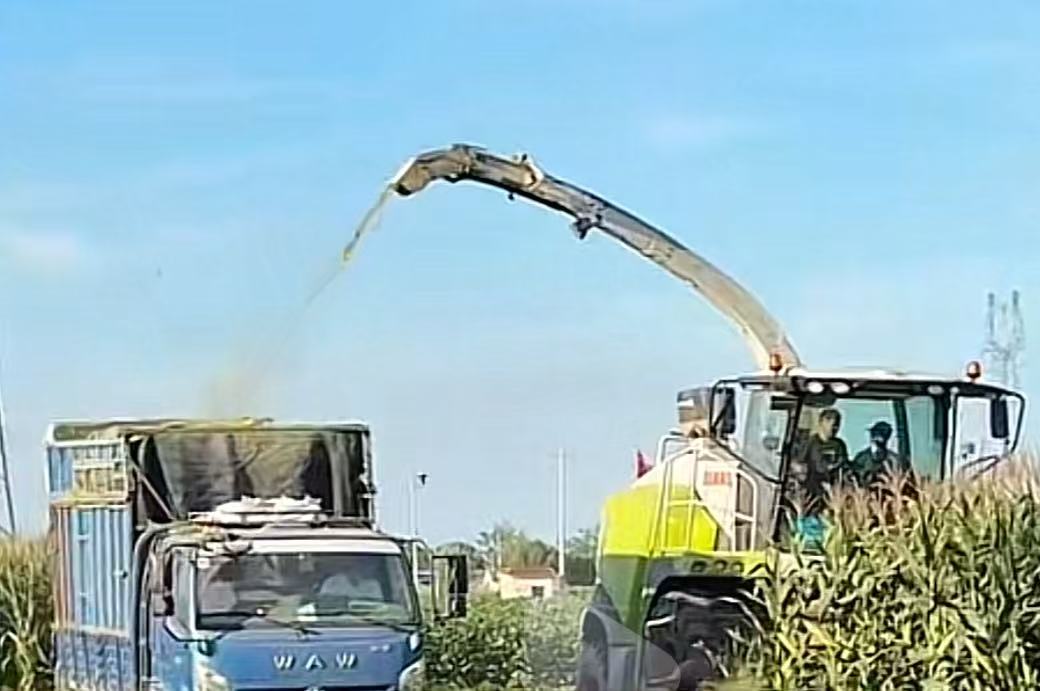 ���u�r�I��W�ݘI�WԺ�ݘI���h���`�F������l�h�{���������������ɳ��m�lչ