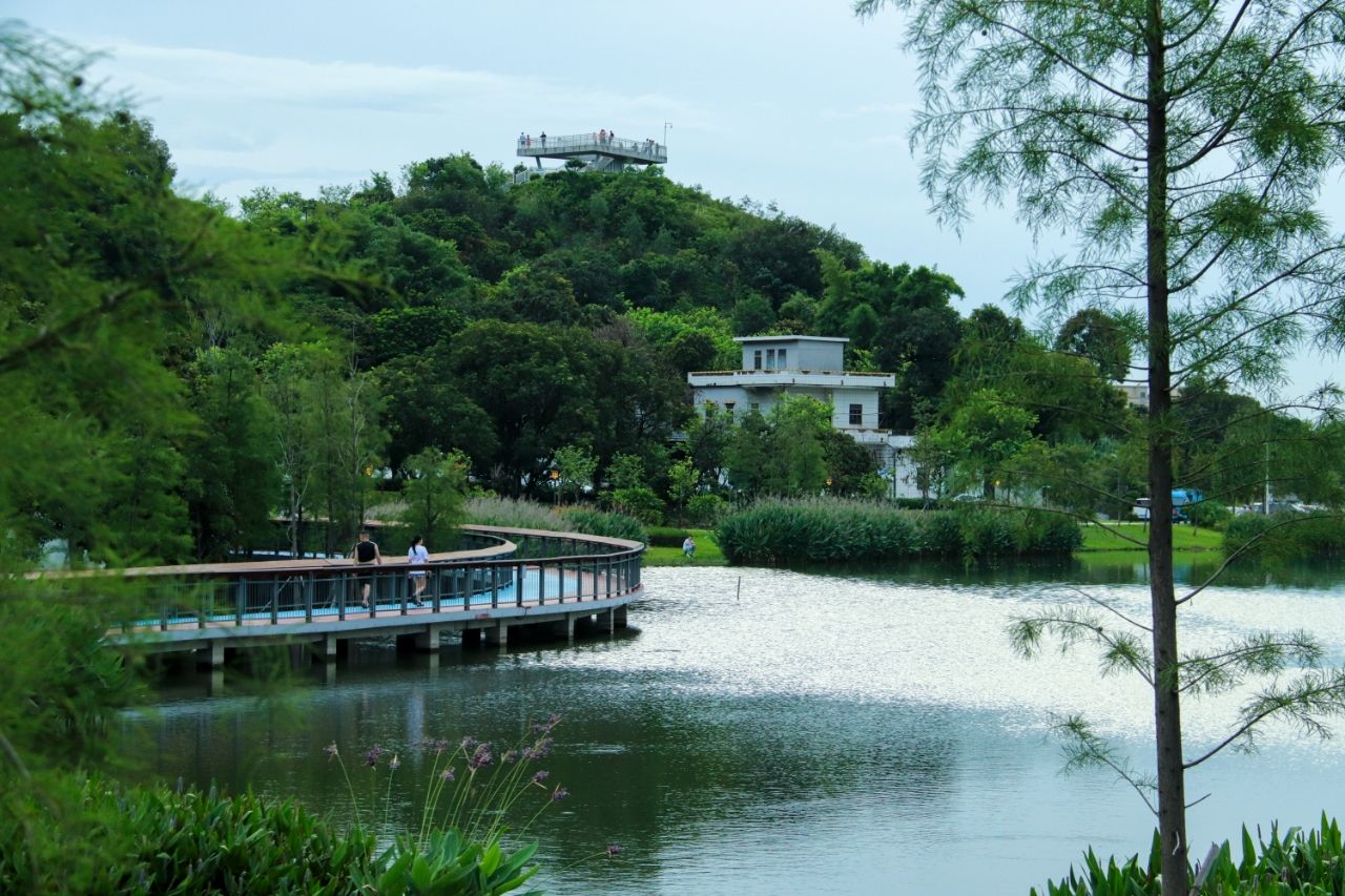 �V�ƌW�ӡ������l���� �� ��ݸһ�ġ� ֮�s���`�|�����ò�