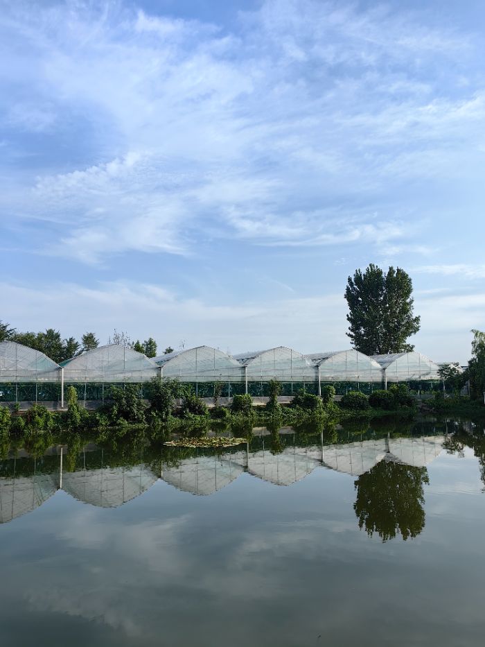 ���Ѽ���̽���l�����d��·��