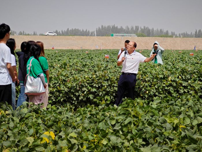 �۽��ݳǿh�ޅ^(q��)�����`�F(tu��n)���y��C��̼ģʽ̼�p��Ч��