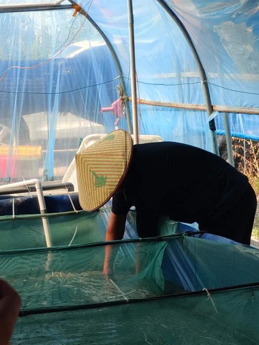 �����r�I��W����Ƽ��WԺ���]������������`�F֮����W���S�X�Bֳ