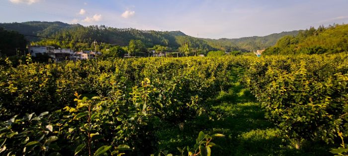 ��(d��ng)�ഺ��Ҋ�l(xi��ng)�������҂����������M����