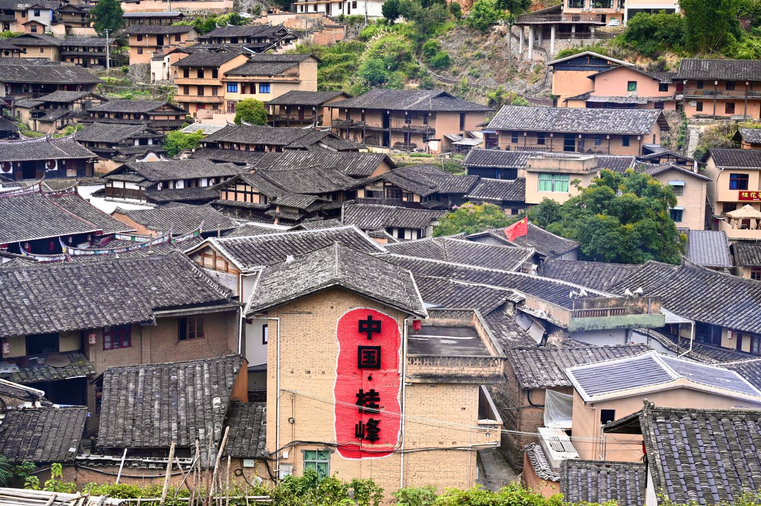 ������퍣����}�������}�l(w��i)Ժ�������d�l(xi��ng)�����`꠸����Ŵ����_չ�Ž����o�ЌW���