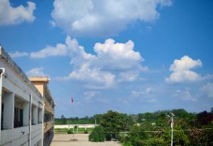 ����n���c(di��n)���l(xi��ng)�庢��֪�R(sh��)��(m��ng)�������չ��̴�W(xu��)��־���ഺ���F(tu��n)�(du��)�_չ��١������l(xi��ng)�����(hu��)��(sh��)�`���(d��ng)