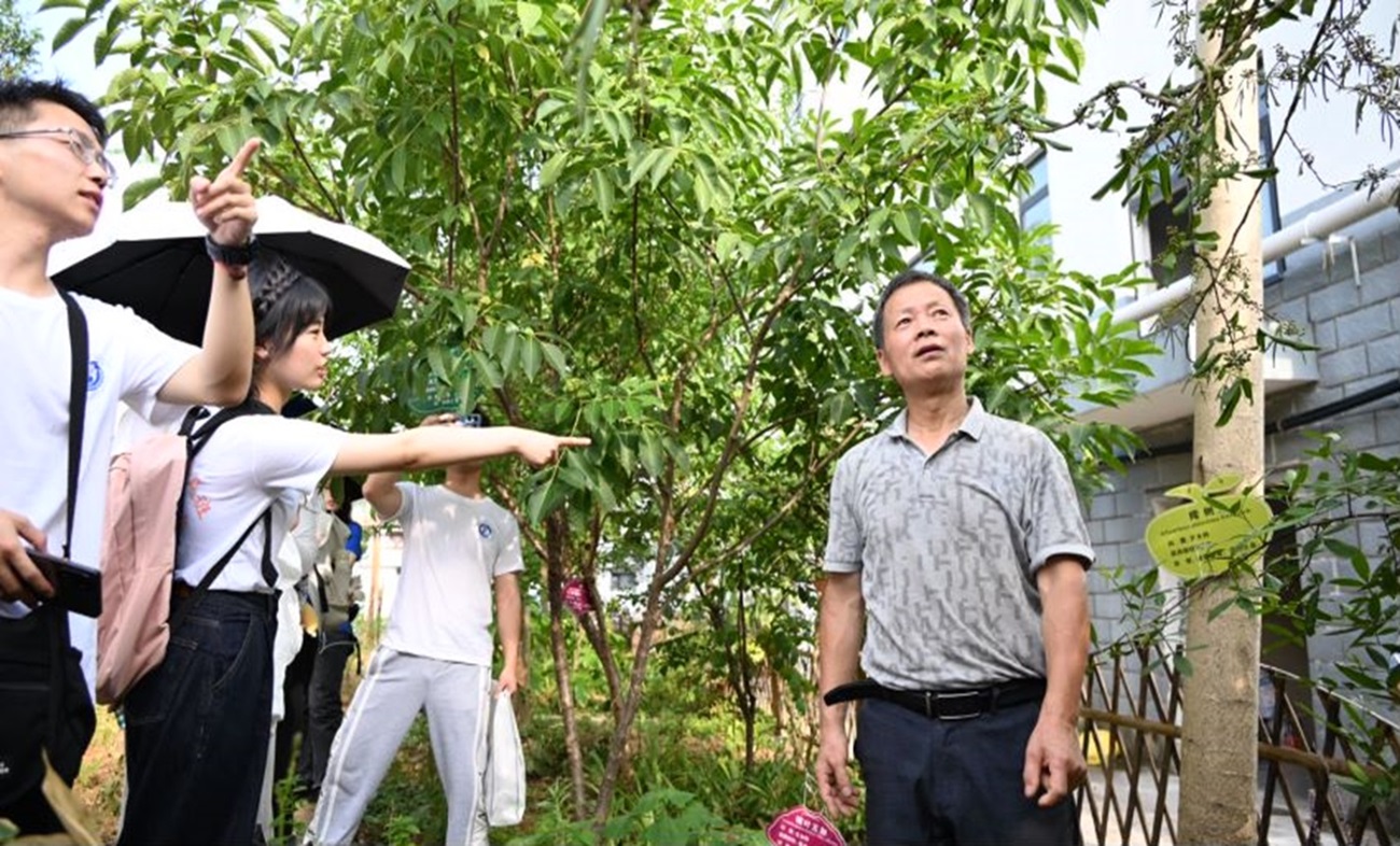 ��Sн��ӳ�Sɽ�������t����̤�GҰ�йŽ����ĳ��`�ƺ��g