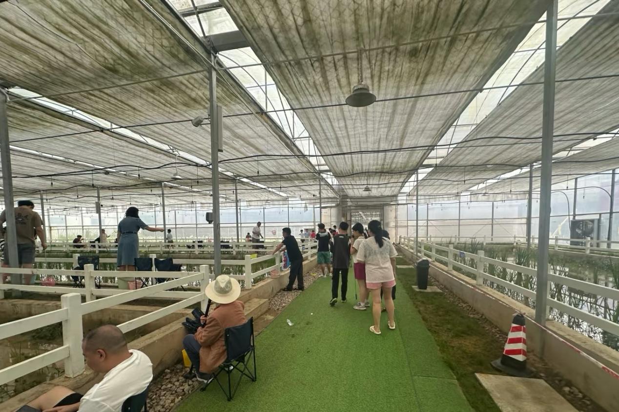 �����WԺ������з������ˮ�����`�F������{���Fꖡ����ֵء��rз�Bֳ����