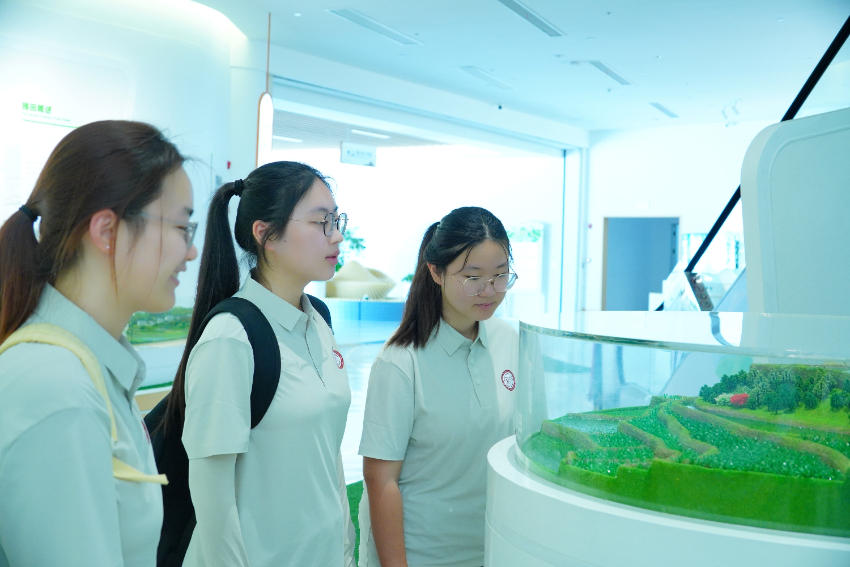 ��ؔ�W��̽���� ��S�{�І���ƪ