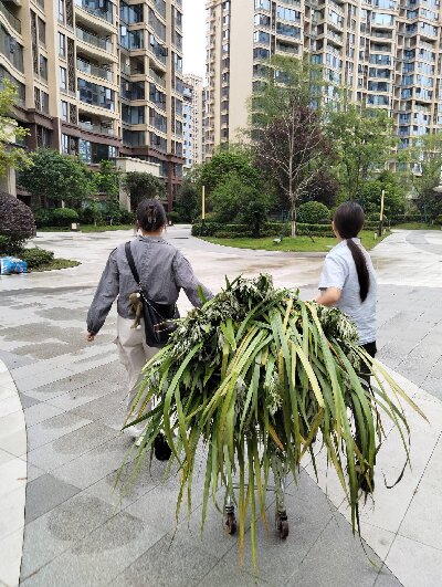 ���ƺV�����ڌ��`������l�����ഺ֮���x����^����֪�R֮���c��ͯ��