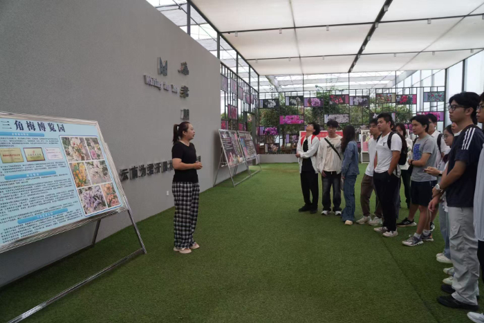 �zӰ���ο���  ؈�����ʂ��M������÷���؅��^