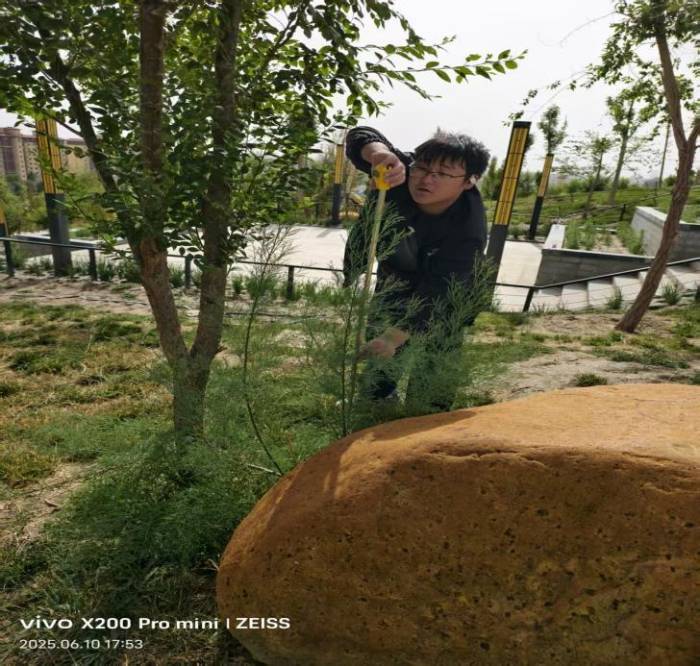 ���M(j��n)��F(tu��n)ɳ���(zh��n)����̽���˾ӭh(hu��n)���c���B(t��i)�ąf(xi��)ͬ�l(f��)չ