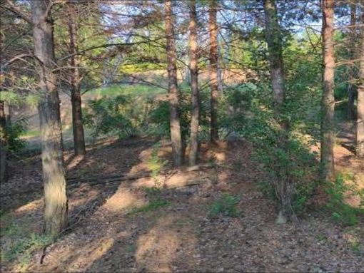 ���������Ƽ���W�ſ،WԺ���ʡ��������ꖅ^���B�h�����`�F�����ʡ�������a�˺�Ů�������ɳ�B���^�_չ��ɳ���`