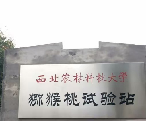 ���}�J���Үa�I���Ƽ����r������ ���������r�ֿƼ���Wˮ���WԺ������ü�h���`�o��