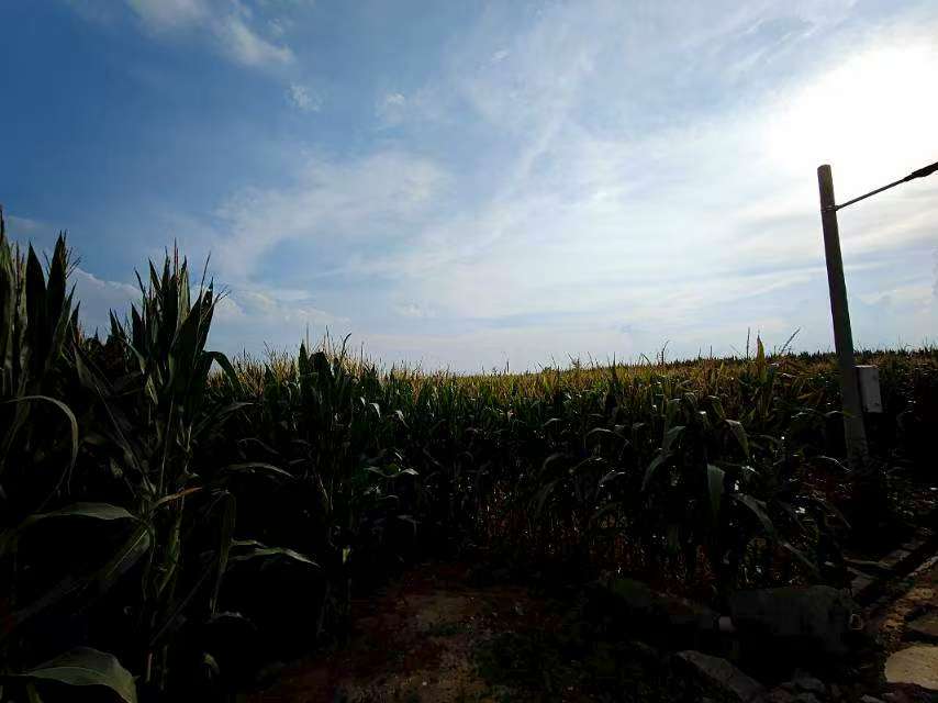 �ഺ̤�L�d���壬���`�x�����d·