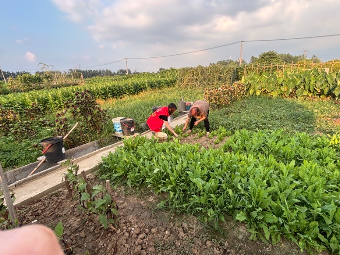 �Ƽ����r(n��ng)����(��i)���o(h��)��