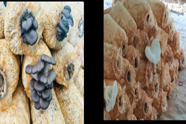 ����U�����������dȡ֮�е�