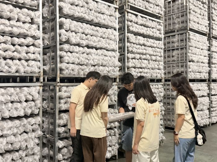 ����Ƅ����ഺ�Ǆ��x��ǧ�깽�� ����W���ƾ֮a�I����