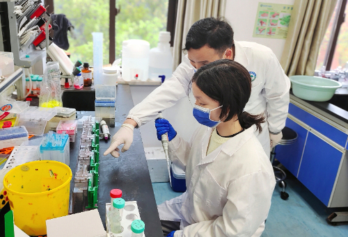 �D��Ԭ����ָ�����