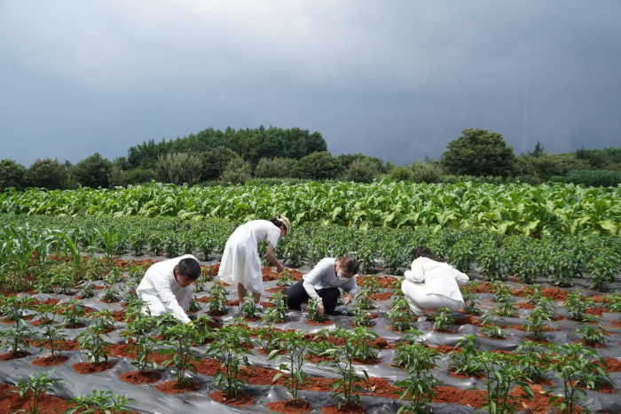 �zӰ:�ο���  ؈�����������g�β�