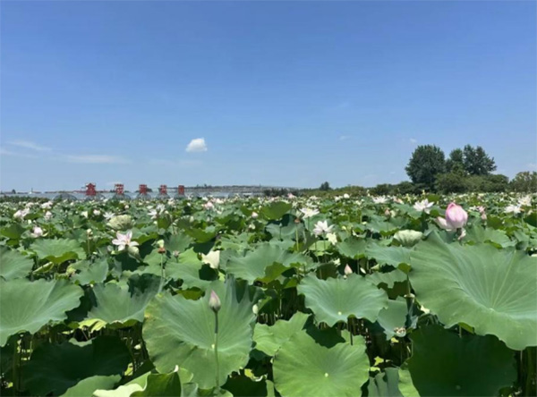 �Gӳ��Ӱ�����B������������������������W̽�L�������ɫ�r��