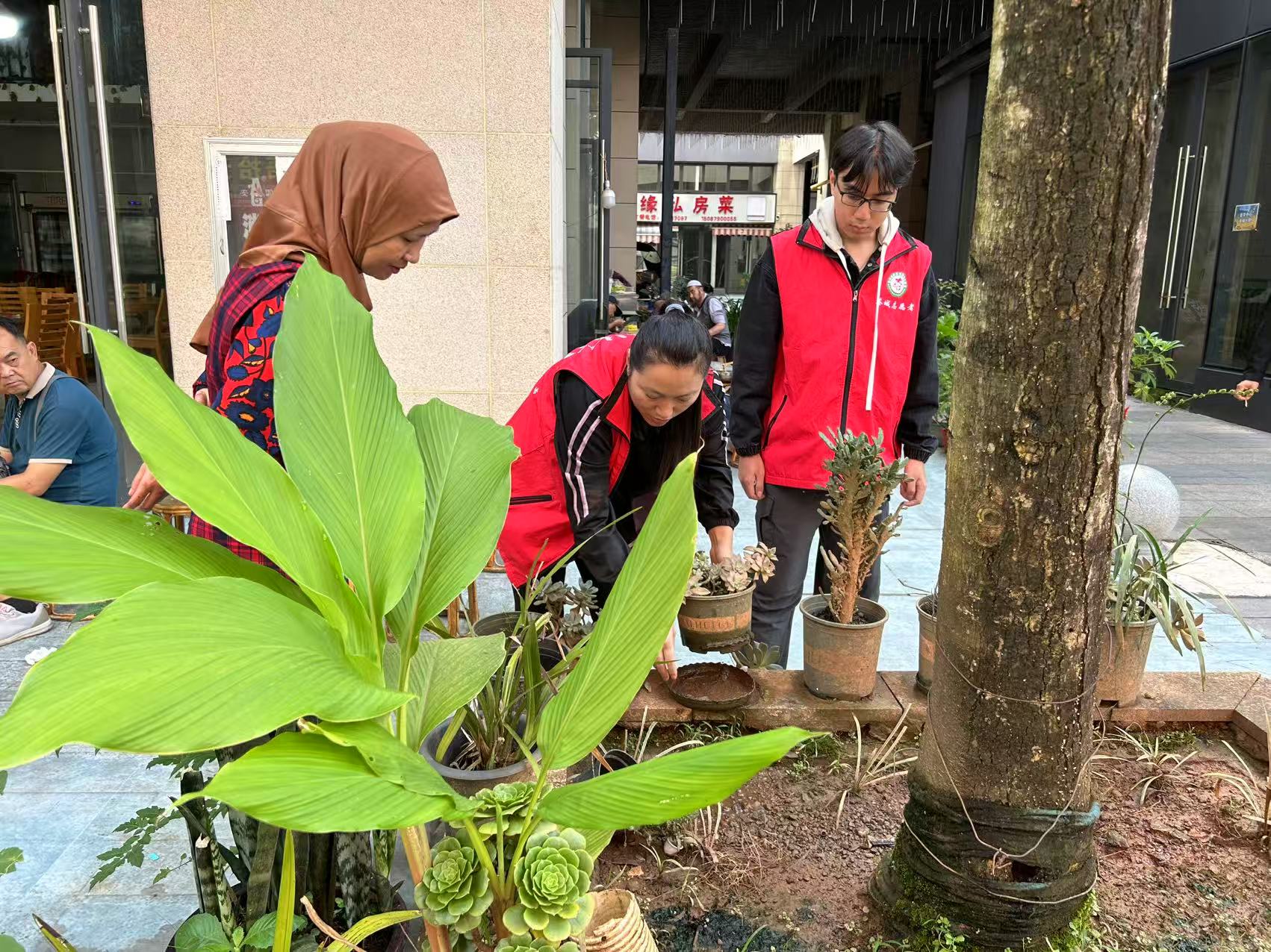 2���Єӣ��o�a��W��߅�����`����"��������"�p���