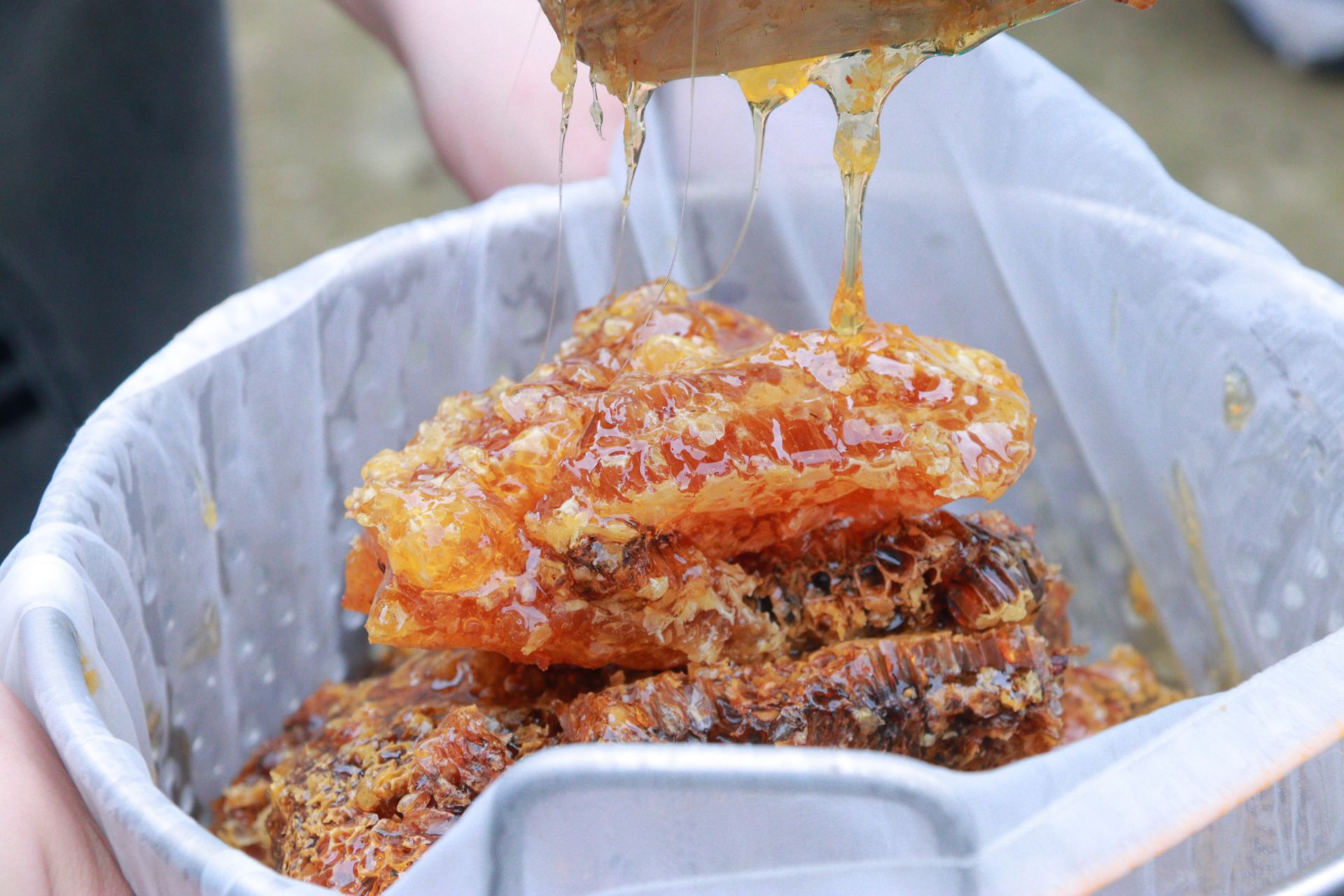 �ഺ���r(n��ng)�ƶ��ϣ������h���ڜϴ�