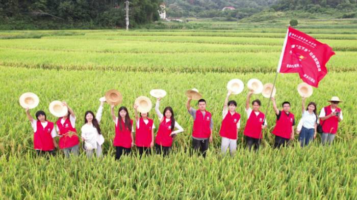 �ഺ������Ұ�g���������l�����`�o��