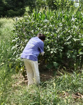 ���ڌ��`���p������(zh��n)���� ��@�����c��^(q��)�Ļ��������ഺ���