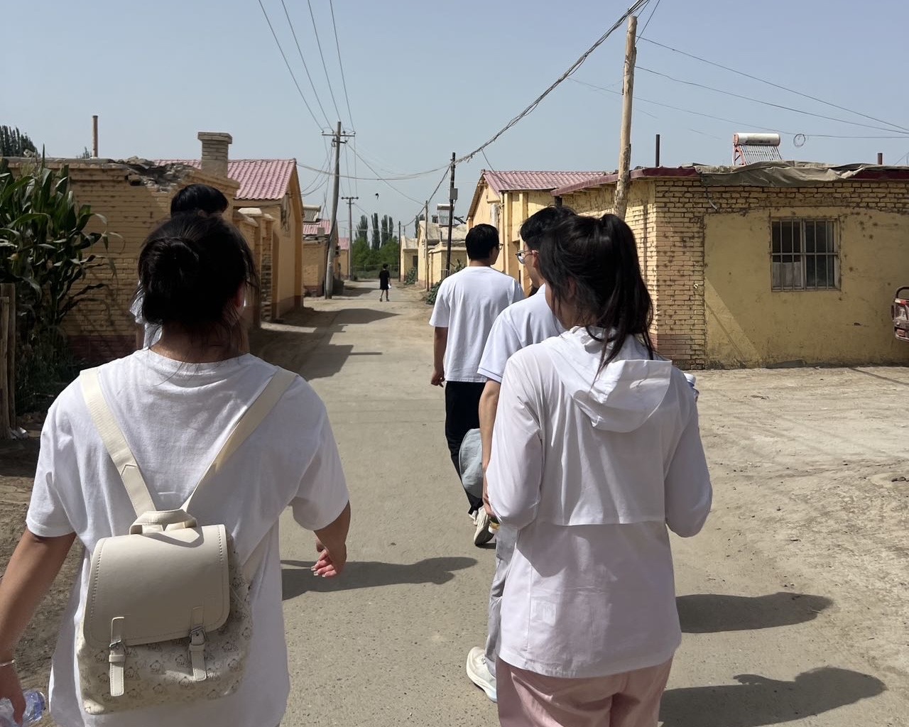 ��������ʮ���F�ޗ��Nֲ�{��ӛ�