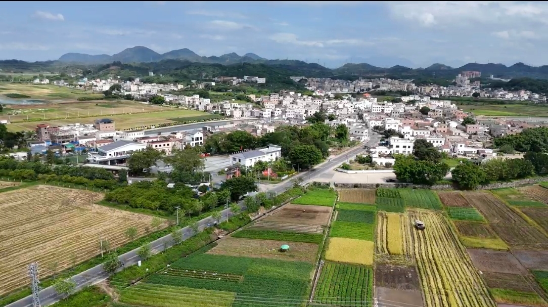 �{(di��o)��ƪ���V�ݹ��̌W(xu��)Ժ��Ӽt�����h꠽�a�ʼҴ塰��ǧ�f���l(f��)չ�ܴa