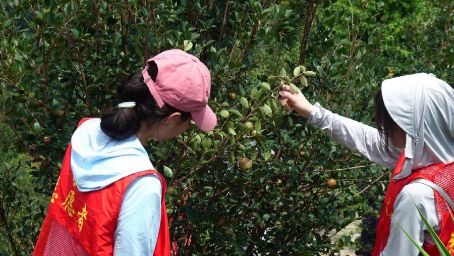 �R�݌WԺ�W�������l�������h��̎���ഺ�L���d