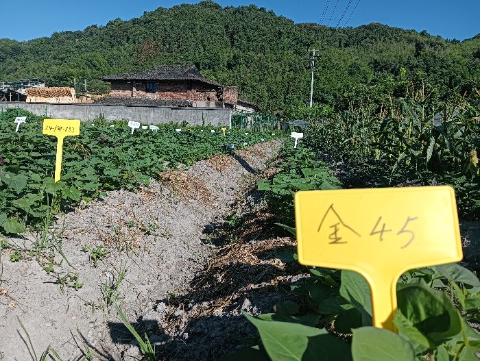 �N�|�YԴ�����N����ȫ������M��