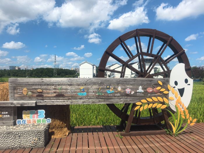 ��������������̌WԺ�W��̽���������Z�Ծ��^�е��Ļ��ܴa