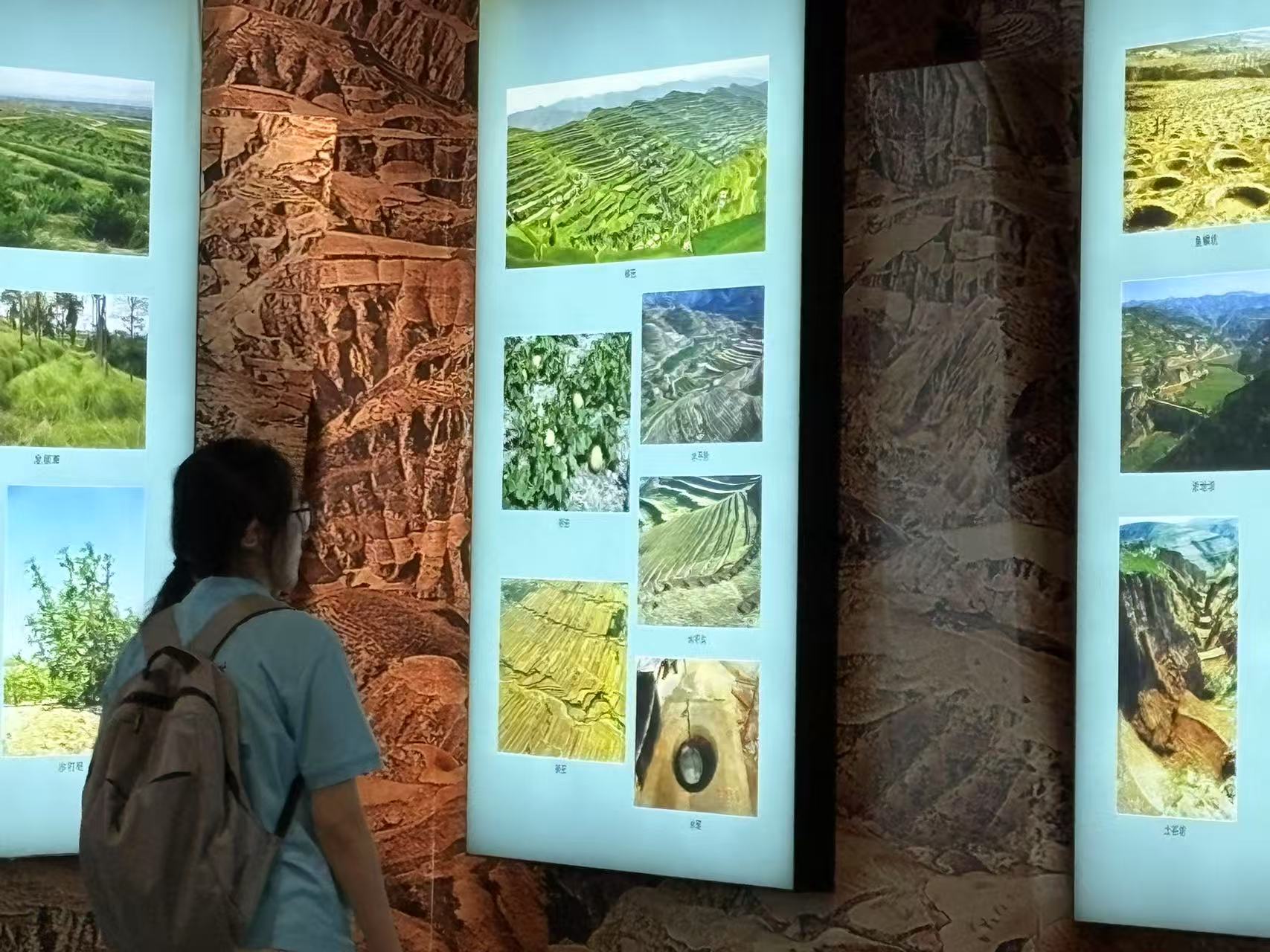 ���o(h��)�S�����B(t��i)���`���ഺ��(d��n)��(d��ng)