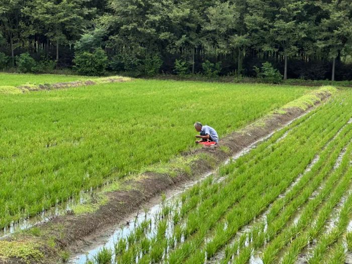 �Ͼ�ؔ����W��Ӌ�WԺ�����ּ�ӛ���F������{�����ִ�