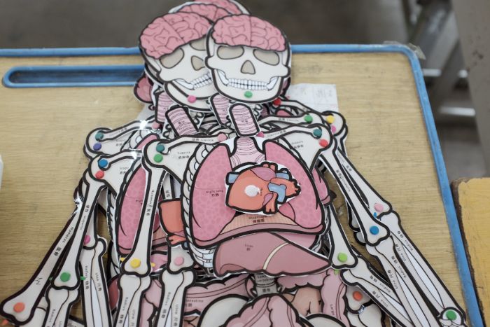 ���A�W(xu��)�Ӳ����t(y��)�W(xu��)�N�� Ȥζ���w�n���c(di��n)���l(xi��ng)��ͯ��