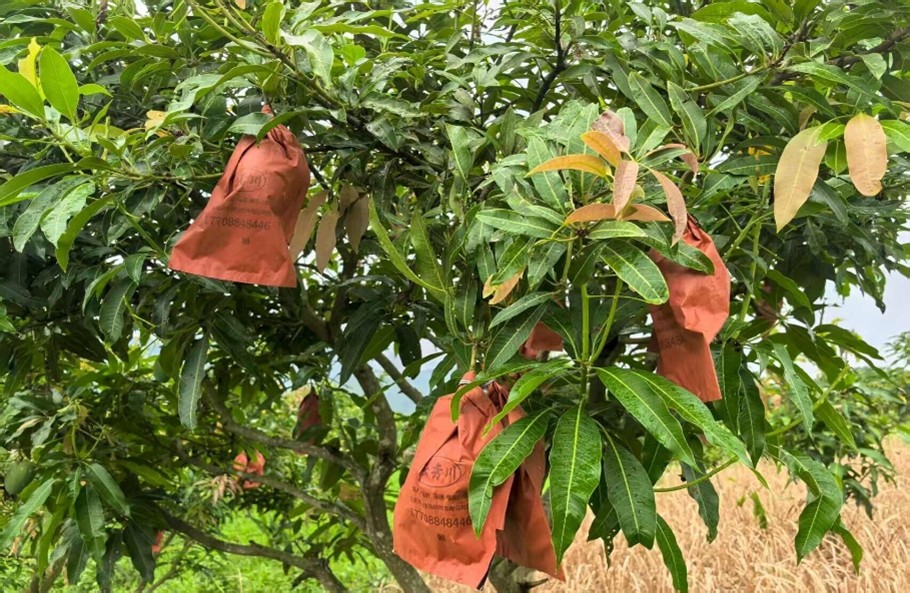 ѭ�E����â���l(xi��ng)�������B(t��i)�{(di��o)�О�P�����L�����l(xi��ng)�����d�®���