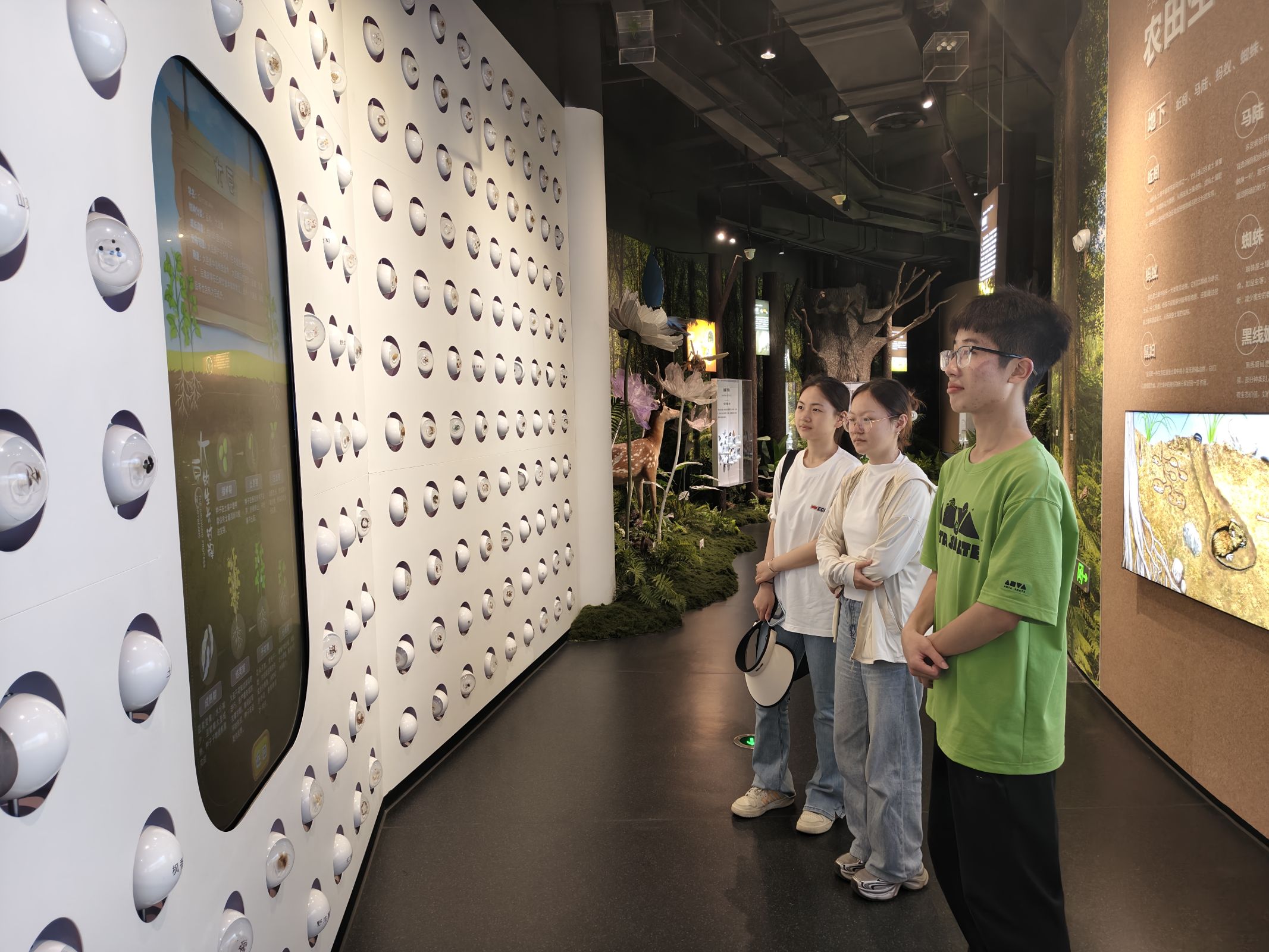 ��ͨ��W(xu��) ����̼ �� ���`�F�� ����h(hu��n)�������^�����ഺ��(d��n)��(d��ng)���ξGɫ�J(r��n)֪����