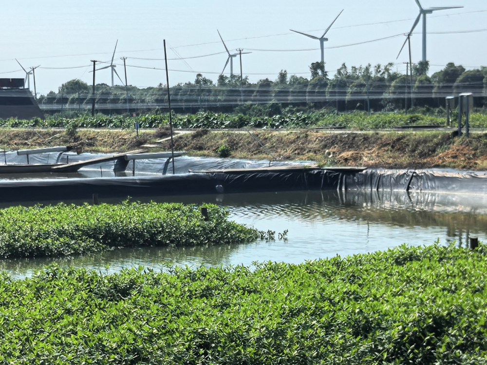 ��ؔз����ˮ���`�Fꠣ��۽��K��зֳ���x���l�����d