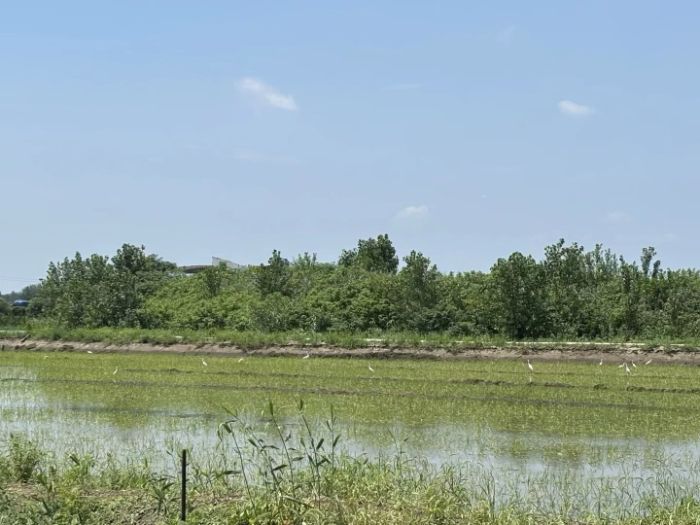 �����������r�a�I�����i�l�����d�ܴa