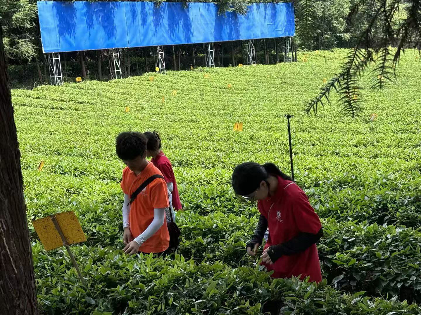 �ഺ�������l��|�Ĳ�@��܇�g�Ĳ���֮��